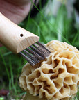 Opinel Oak Mushroom Knife with Brush