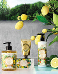 Panier des Sens Provence Hand Cream