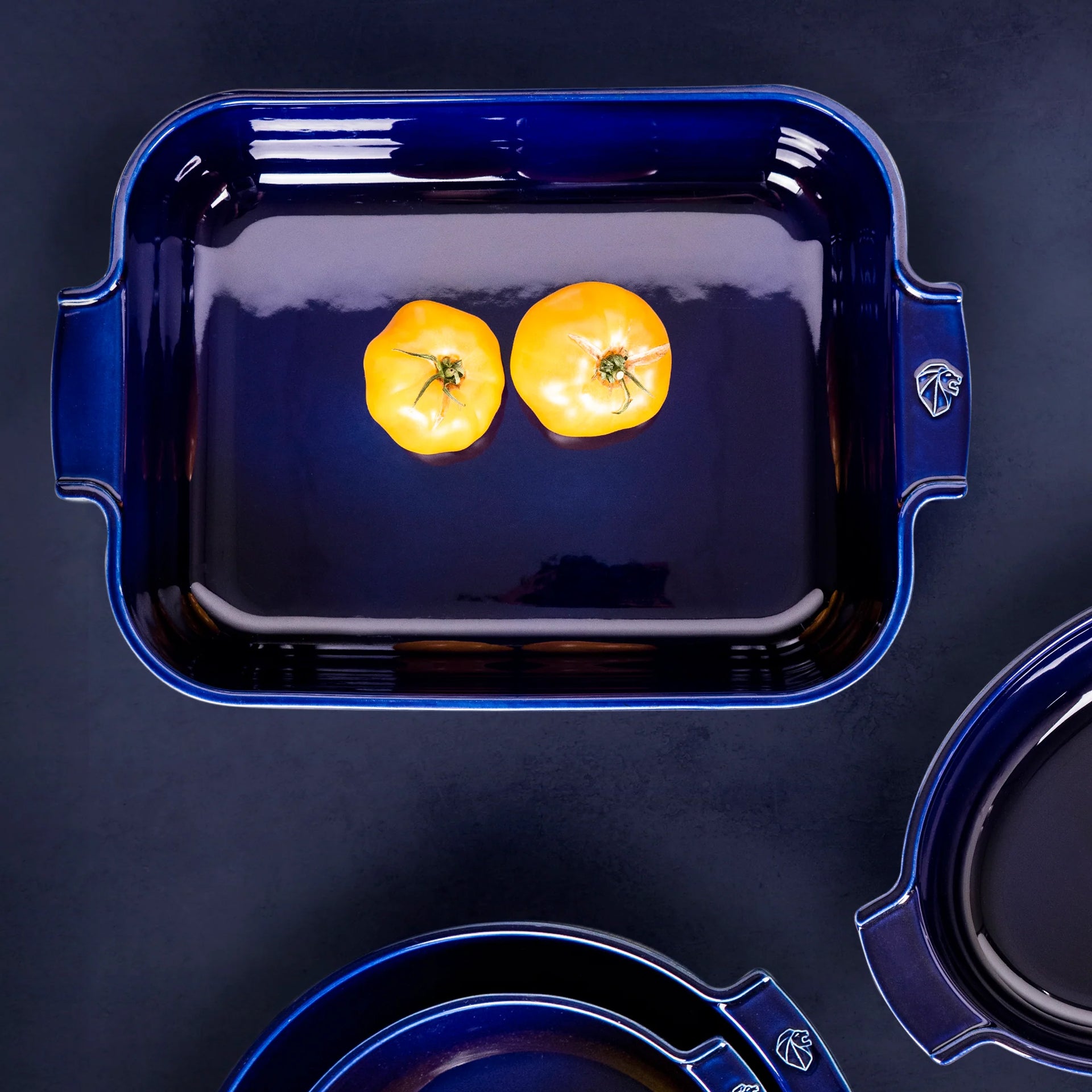 Appolia Ceramic Rectangular Baking Dish Cantine Française