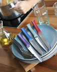 Opinel Bon Appetit+ Steak Knives, Set of 4